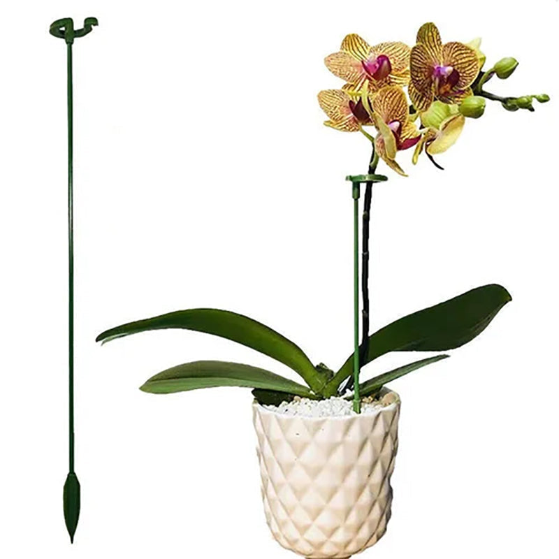 PlantCare - Plantsteun | 50% KORTING