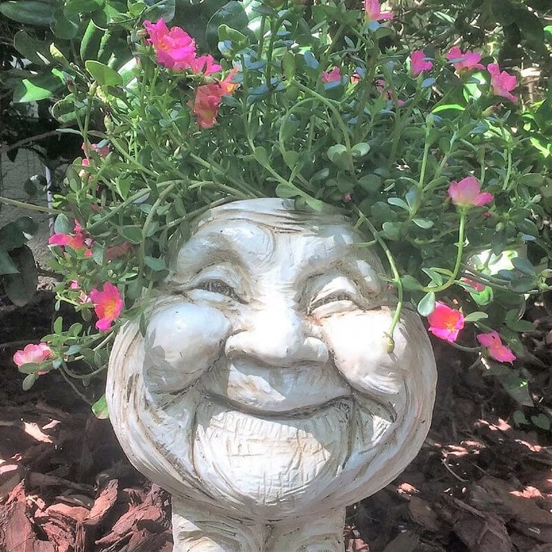 Muggly™ – Grappige Bloempot Vol Karakter  | 50% KORTING