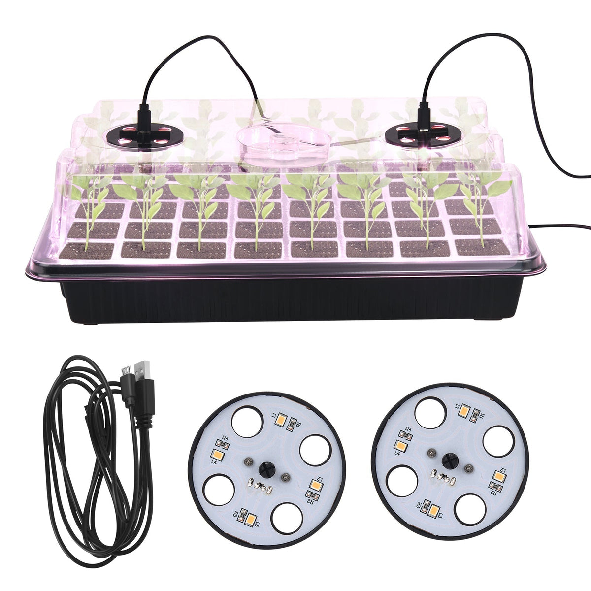 GrowEasy Pro - Zaadstarter Trays | 50% KORTING