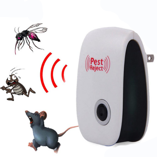 Echografie van knaagdieren en insecten | 1+1 GRATIS