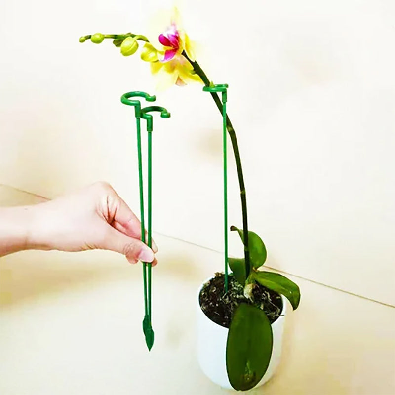 PlantCare - Plantsteun | 50% KORTING
