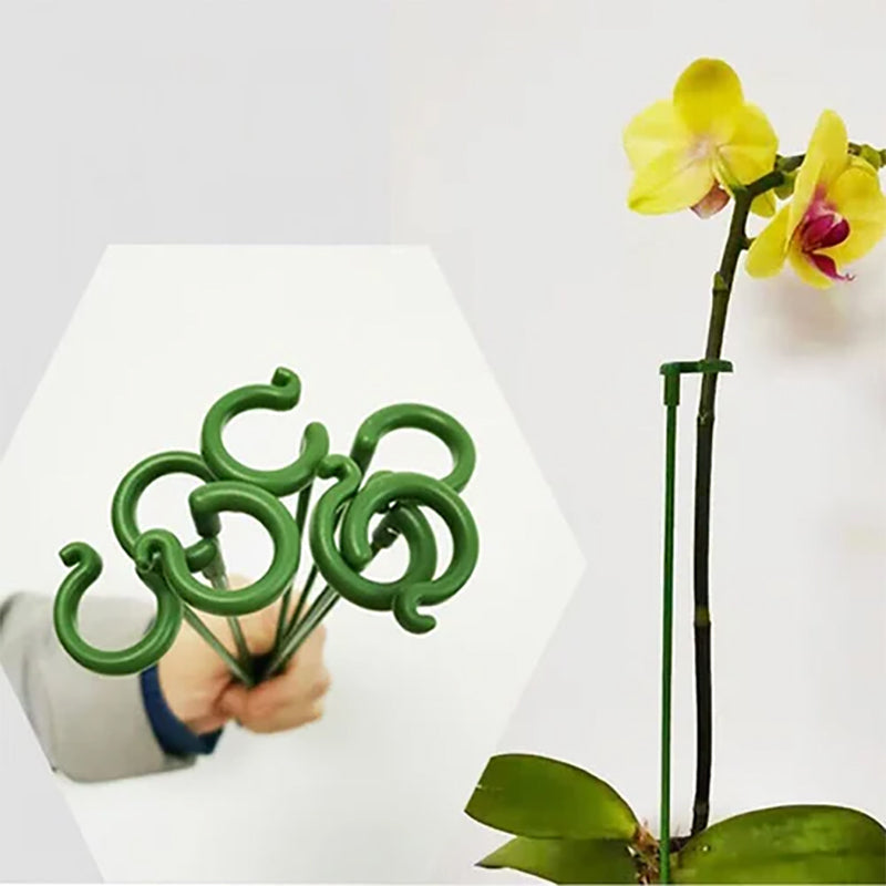 PlantCare - Plantsteun | 50% KORTING