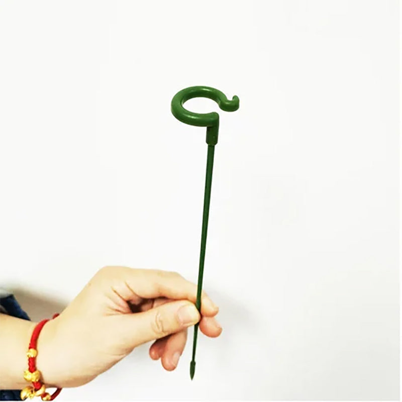 PlantCare - Plantsteun | 50% KORTING