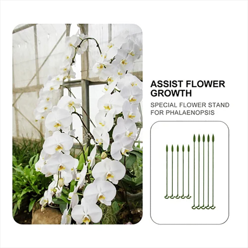 PlantCare - Plantsteun | 50% KORTING