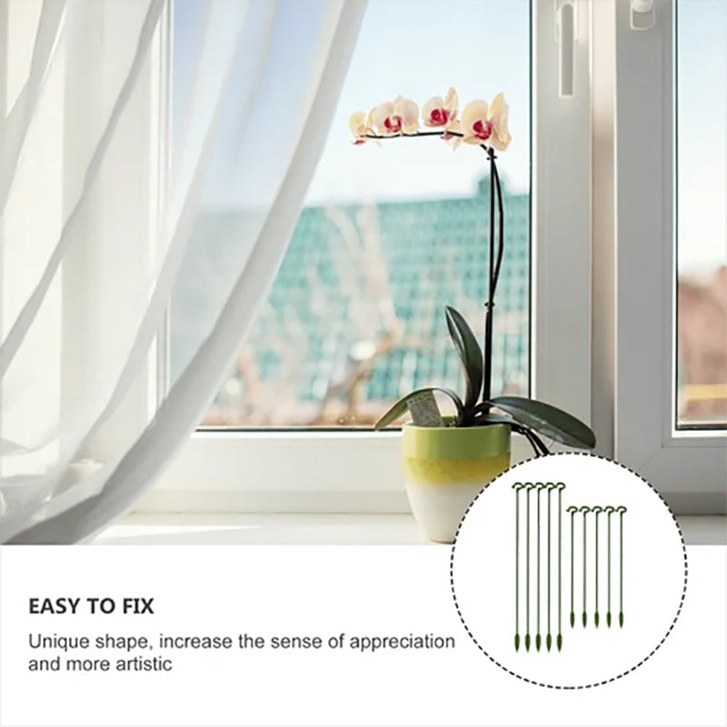 PlantCare - Plantsteun | 50% KORTING