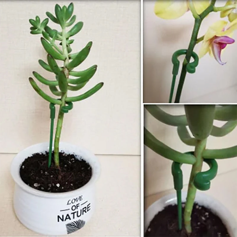 PlantCare - Plantsteun | 50% KORTING