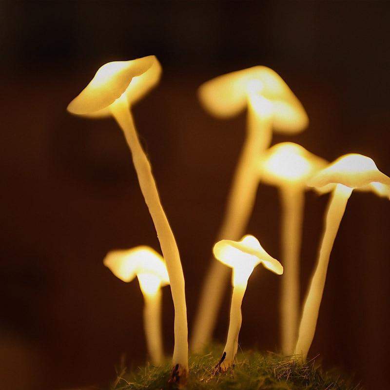 Betoverende DIY paddestoellamp voor thuisdecoratie