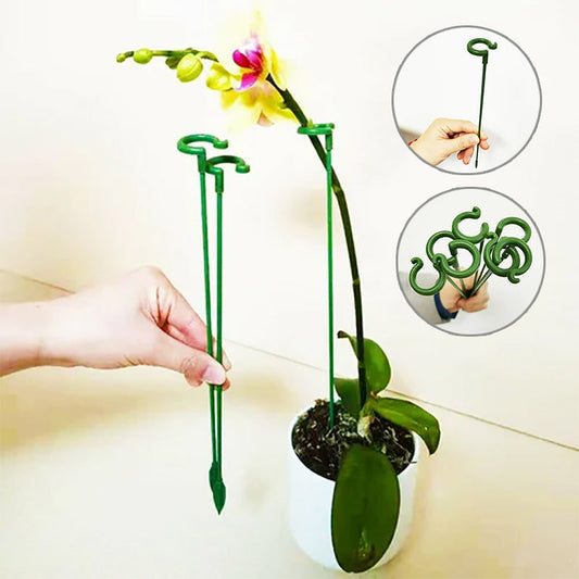 PlantCare - Plantsteun | 50% KORTING