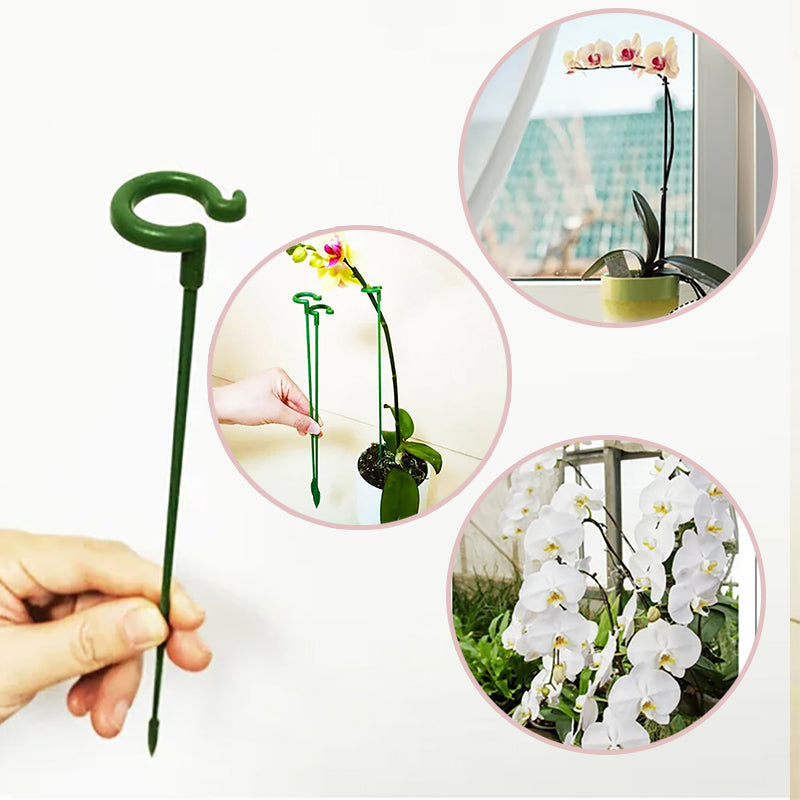 PlantCare - Plantsteun | 50% KORTING