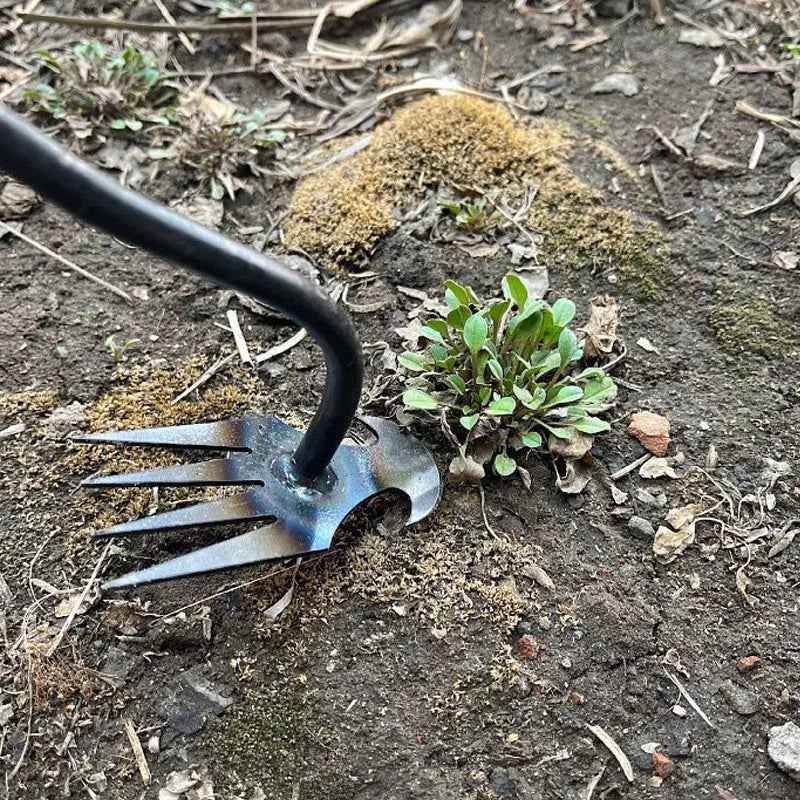 2-in-1 onkruid en grasverwijderaar