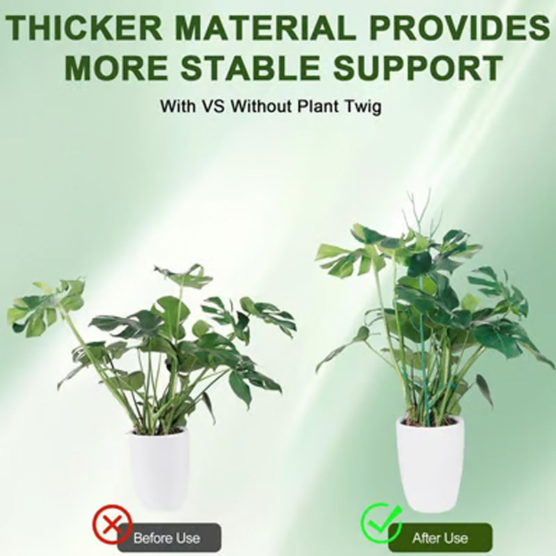 GreenGrow – Natuurlijke Plantensteun Groei | 50% KORTING