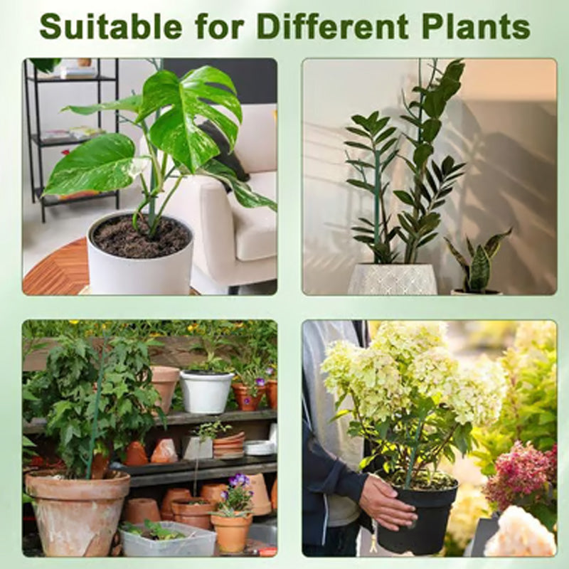GreenGrow – Natuurlijke Plantensteun Groei | 50% KORTING