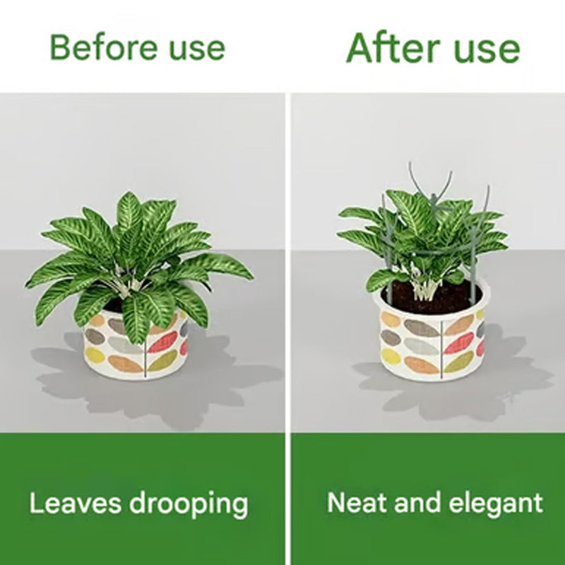 GreenGrow – Natuurlijke Plantensteun Groei | 50% KORTING